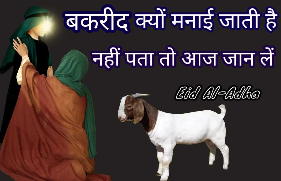 बकरीद क्यों मनाई जाती है इसके पीछे क्या वजह है-Bakra eid kyu manaya jata hai