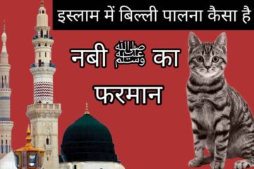 क्या इस्लाम बिल्ली को घर में पालने की इजाजत देता है-Ghar Me Billi Palna Kaisa Hai